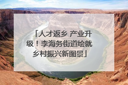 人才返乡 产业升级！李海务街道绘就乡村振兴新图景