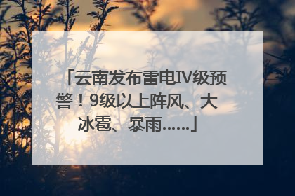 云南发布雷电Ⅳ级预警！9级以上阵风、大冰雹、暴雨……