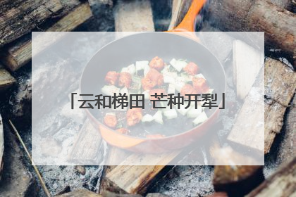云和梯田 芒种开犁