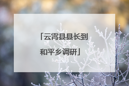云霄县县长到和平乡调研