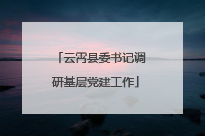 云霄县委书记调研基层党建工作