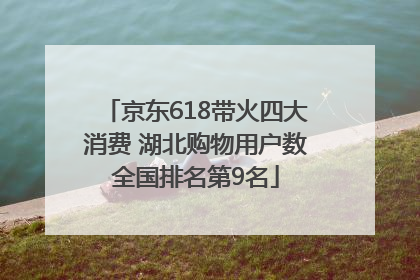 京东618带火四大消费 湖北购物用户数全国排名第9名
