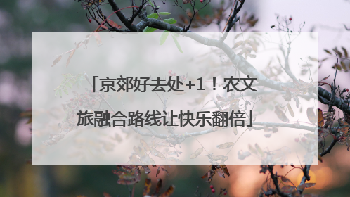 京郊好去处+1！农文旅融合路线让快乐翻倍