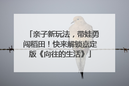 亲子新玩法，带娃勇闯稻田！快来解锁嘉定版《向往的生活》