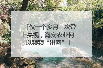 仅一个多月三次登上央视，海安农业何以频频“出圈”