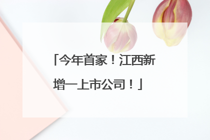 今年首家！江西新增一上市公司！