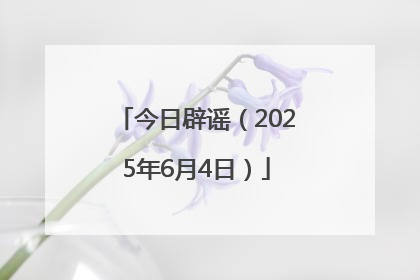 今日辟谣（2025年6月4日）