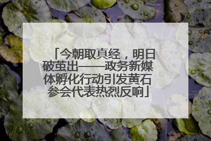 今朝取真经，明日破茧出——政务新媒体孵化行动引发黄石参会代表热烈反响