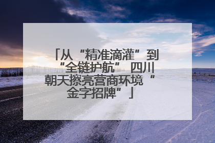 从“精准滴灌”到“全链护航” 四川朝天擦亮营商环境“金字招牌”