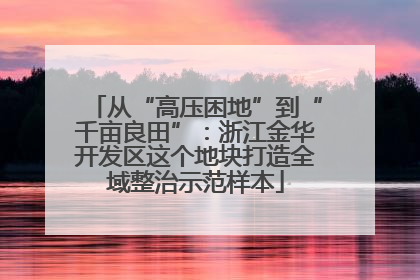 从“高压困地”到“千亩良田”：浙江金华开发区这个地块打造全域整治示范样本