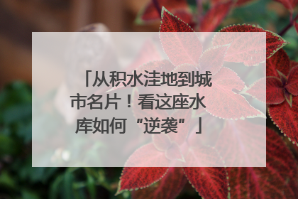 从积水洼地到城市名片！看这座水库如何“逆袭”