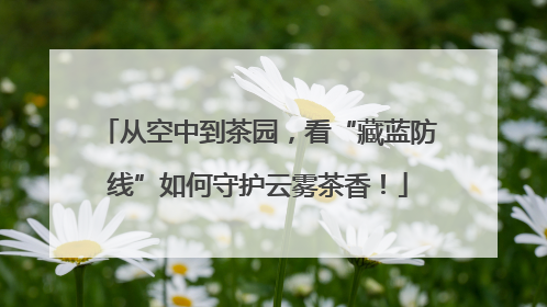 从空中到茶园，看“藏蓝防线”如何守护云雾茶香！