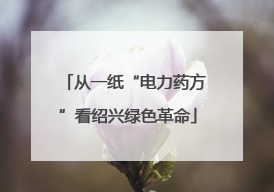 从一纸“电力药方”看绍兴绿色革命