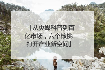 从央媒科普到百亿市场，六个核桃打开产业新空间