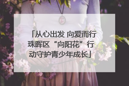 从心出发 向爱而行 珠晖区“向阳花”行动守护青少年成长