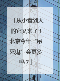 从小看到大的它又来了！北京今年“吊死鬼”会更多吗？