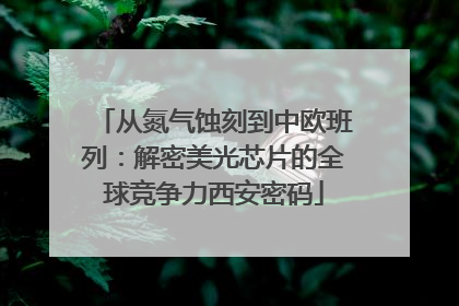 从氮气蚀刻到中欧班列：解密美光芯片的全球竞争力西安密码