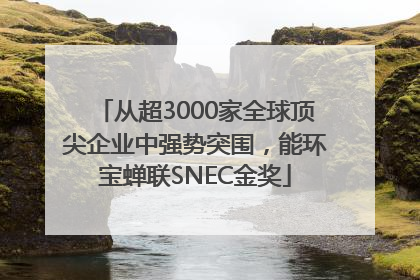 从超3000家全球顶尖企业中强势突围，能环宝蝉联SNEC金奖