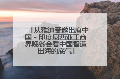 从雅迪受邀出席中国－印度尼西亚工商界晚餐会看中国智造出海的底气