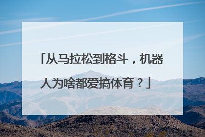 从马拉松到格斗，机器人为啥都爱搞体育？