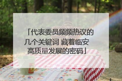 代表委员频频热议的几个关键词 藏着临安高质量发展的密码