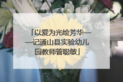 以爱为光绘芳华——记通山县实验幼儿园教师管聪敏