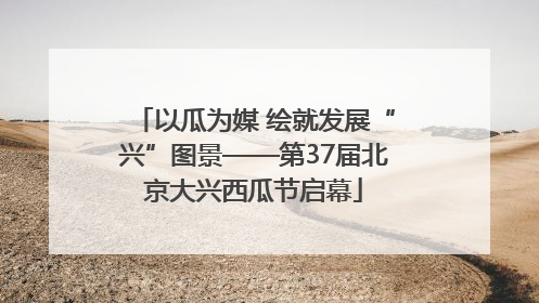 以瓜为媒 绘就发展“兴”图景——第37届北京大兴西瓜节启幕