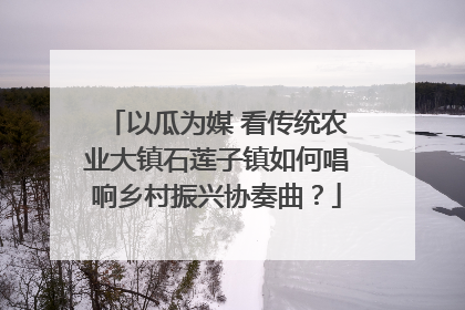 以瓜为媒 看传统农业大镇石莲子镇如何唱响乡村振兴协奏曲？
