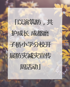 以演筑防，共护成长 成都磨子桥小学分校开展防灾减灾宣传周活动