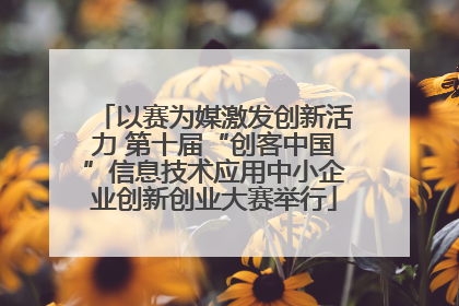 以赛为媒激发创新活力 第十届“创客中国”信息技术应用中小企业创新创业大赛举行