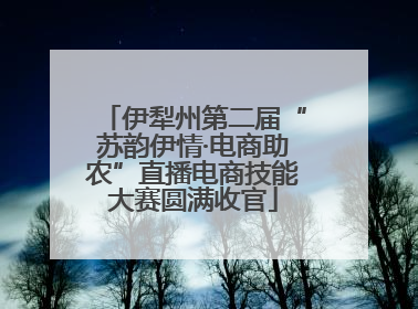 伊犁州第二届“苏韵伊情·电商助农”直播电商技能大赛圆满收官