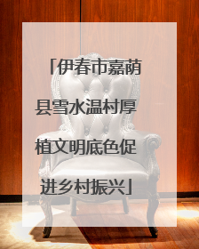 伊春市嘉荫县雪水温村厚植文明底色促进乡村振兴