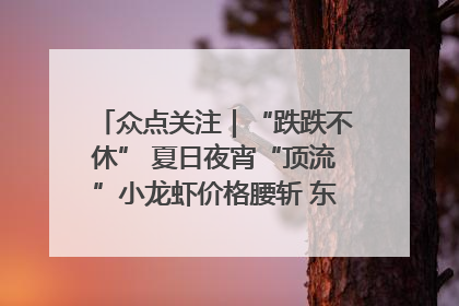众点关注｜“跌跌不休” 夏日夜宵“顶流”小龙虾价格腰斩 东营人的快乐来了