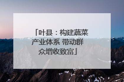 叶县：构建蔬菜产业体系 带动群众增收致富