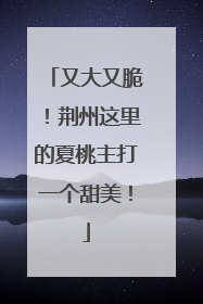 又大又脆！荆州这里的夏桃主打一个甜美！