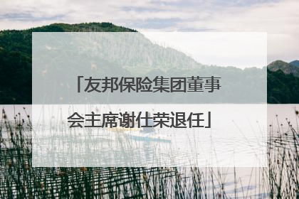 友邦保险集团董事会主席谢仕荣退任