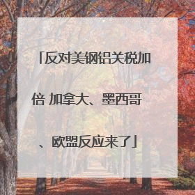 反对美钢铝关税加倍 加拿大、墨西哥、欧盟反应来了