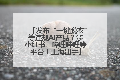 发布“一键脱衣”等违规AI产品？涉小红书、哔哩哔哩等平台！上海出手