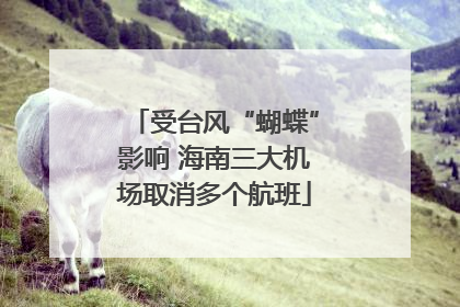 受台风“蝴蝶”影响 海南三大机场取消多个航班