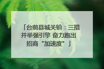 台前县城关镇：三措并举强引擎 奋力跑出招商“加速度”