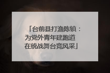 台前县打渔陈镇：为党外青年建跑道 在统战舞台竞风采