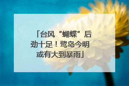 台风“蝴蝶”后劲十足！鹭岛今明或有大到暴雨