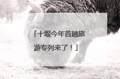 十堰今年首趟旅游专列来了！