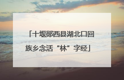 十堰郧西县湖北口回族乡念活“林”字经
