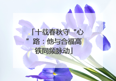 十载春秋守“心”路：他与合福高铁同频脉动