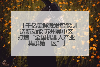 千亿集群激发智能制造新动能 苏州吴中区打造“全国机器人产业集群第一区”