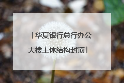 华夏银行总行办公大楼主体结构封顶