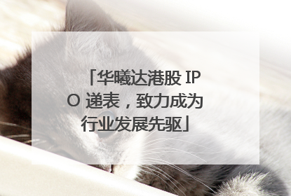 华曦达港股 IPO 递表，致力成为行业发展先驱