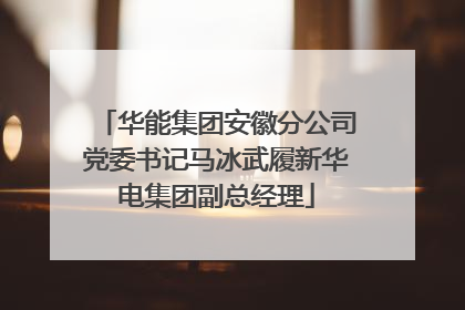 华能集团安徽分公司党委书记马冰武履新华电集团副总经理
