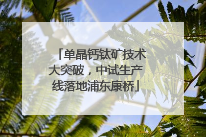 单晶钙钛矿技术大突破，中试生产线落地浦东康桥
